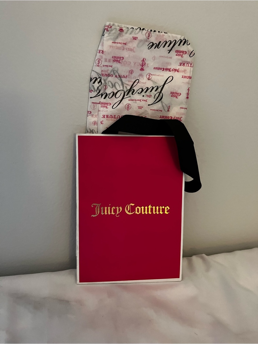 Juicy Couture Gift Bag